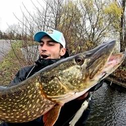 Cedric - guide de pêche hollande