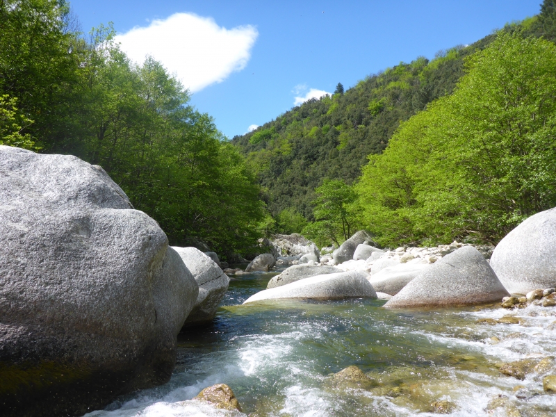 Découverte de la pêche à la mouche en Ardèche
