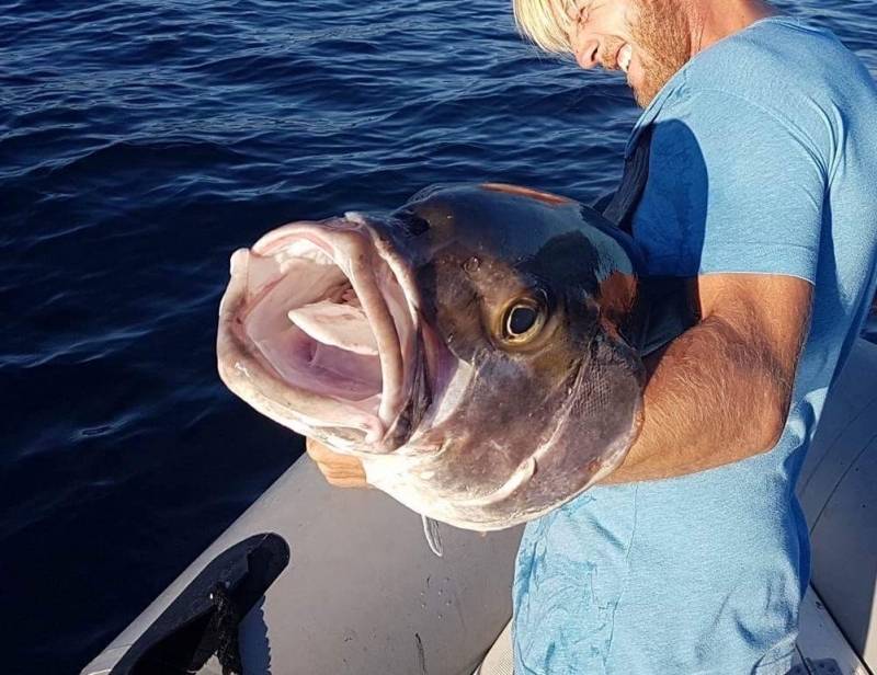 Journée de pêche au gros en Corse