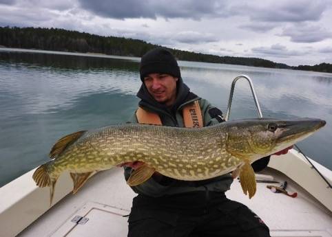 LA PÊCHE DES CARNASSIERS À VÄSTERVIK