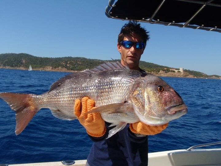 Pêche à la traîne lente au vif sur les îles d'Or