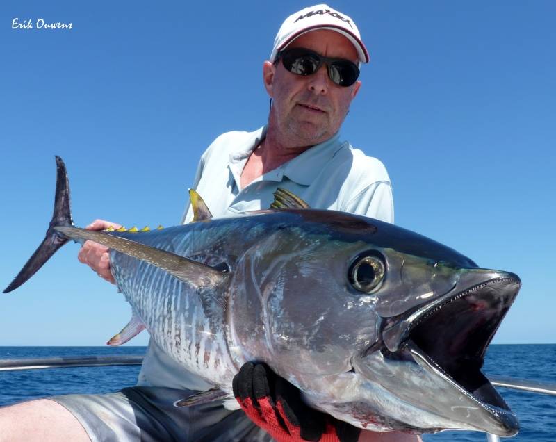 Pêche au thon en Espagne