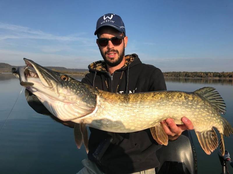 Pêche des carnassiers au leurre sur le lac de Madine