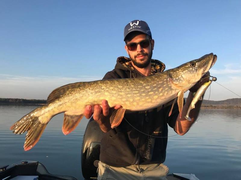 Pêche des carnassiers au leurre sur le lac de Madine