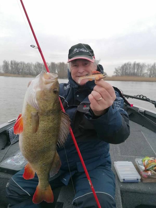 Pêche des carnassiers en Hollande en lac et fleuve