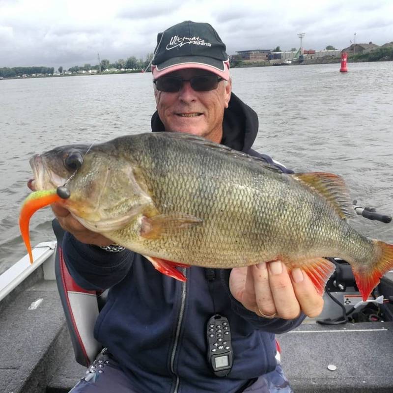 Pêche des carnassiers en Hollande en lac et fleuve