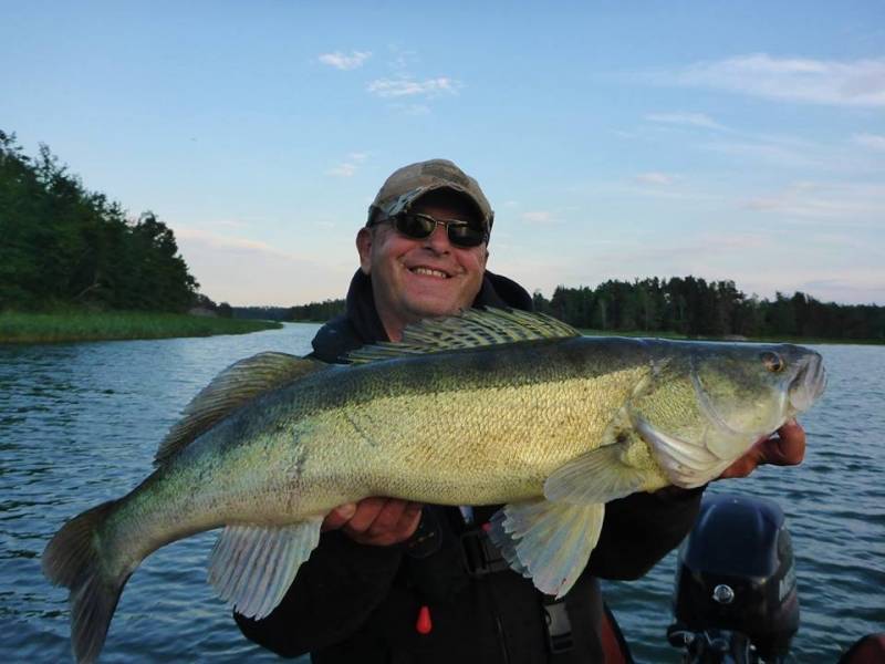 Pêche des carnassiers en Suède à Västervik
