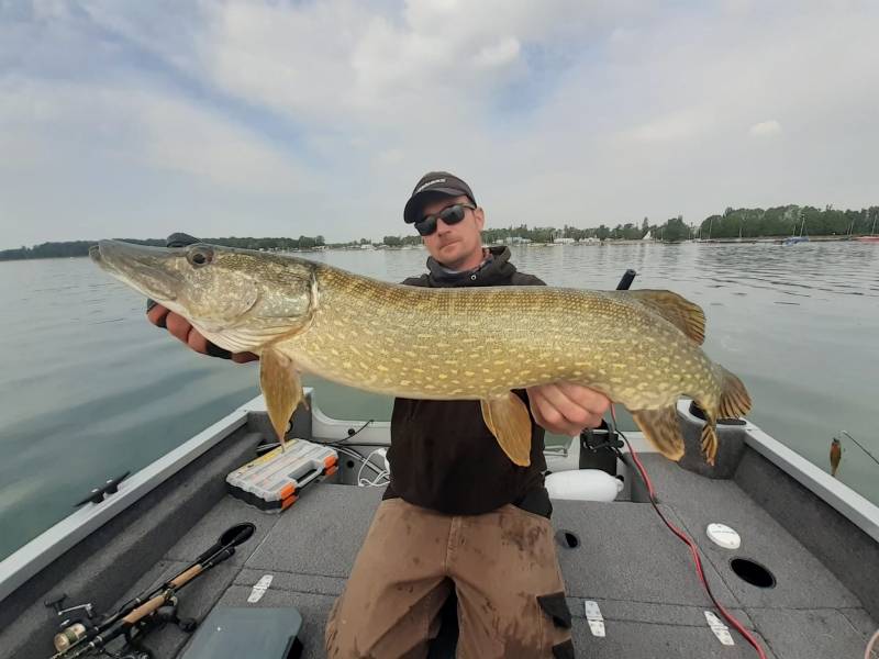 Pêche des carnassiers sur le lac de Plobsheim