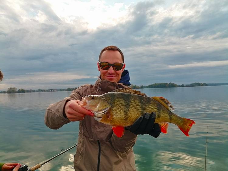 Pêche des carnassiers sur les lacs de la Foret d’Orient