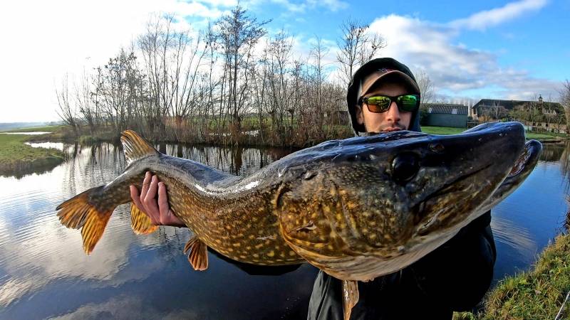 Pêche du brochet dans les polders Hollandais