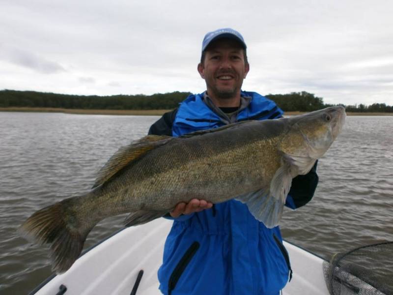 Pêche du brochet en Suède sur le Mälaren
