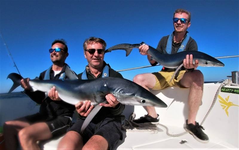 Pêche du requin au large du Bassin d'Arcachon