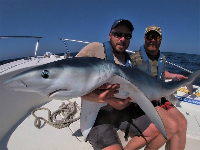 Pêche du requin au large du Bassin d'Arcachon