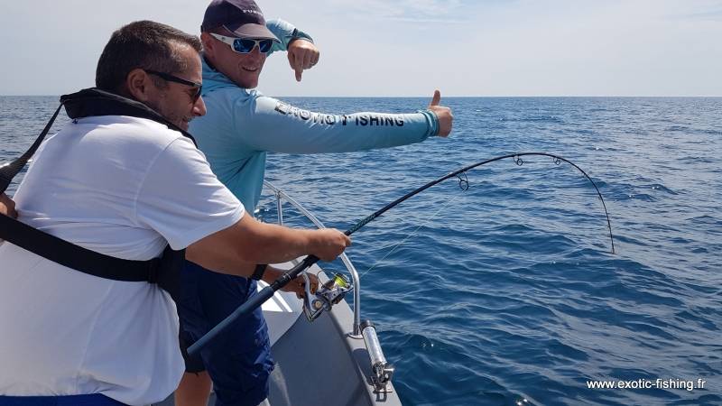 Pêche du thon sur chasse en mer Méditerranée