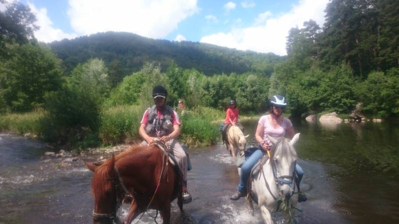 Séjour de pêche à cheval au fil de la Loire sauvage