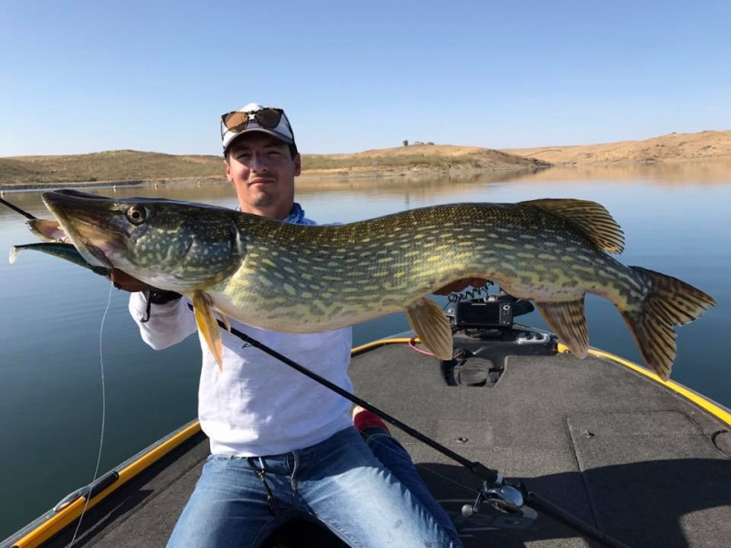 Séjour de pêche des brochets géants d'Extremadura