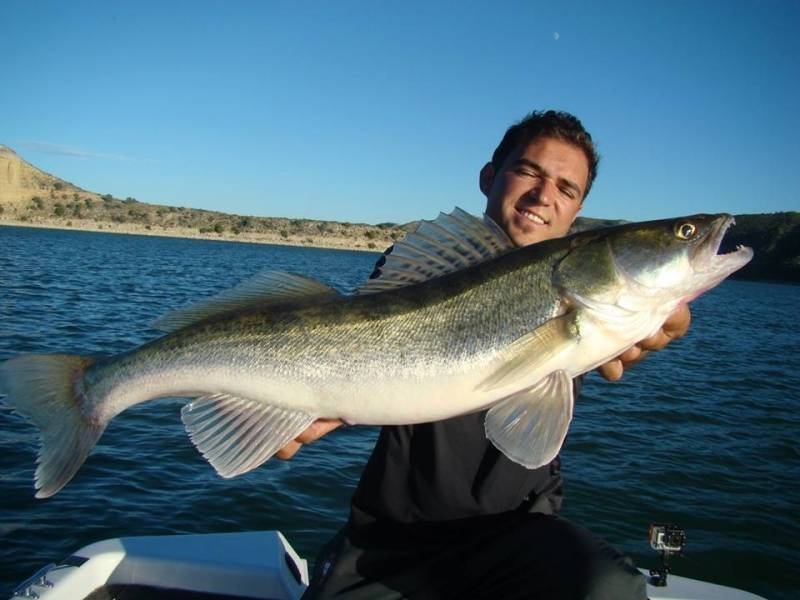 Séjour de pêche des carnassiers à Mequinenza