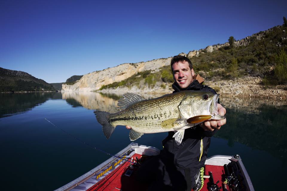 black-bass : 5 astuces pour le pêcher en été