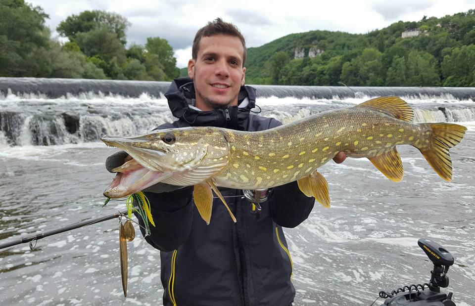 Pêche aux leurres : Quelle canne à pêche choisir pour le spinnerbait ?