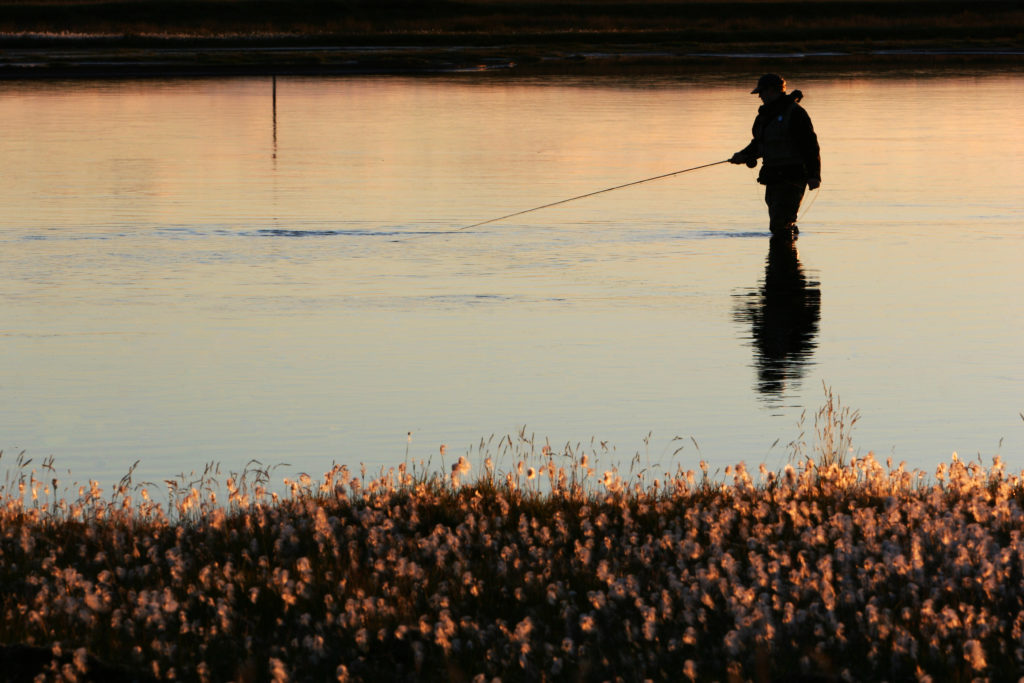 Fishing book: our selection of the best books dedicated to fishing