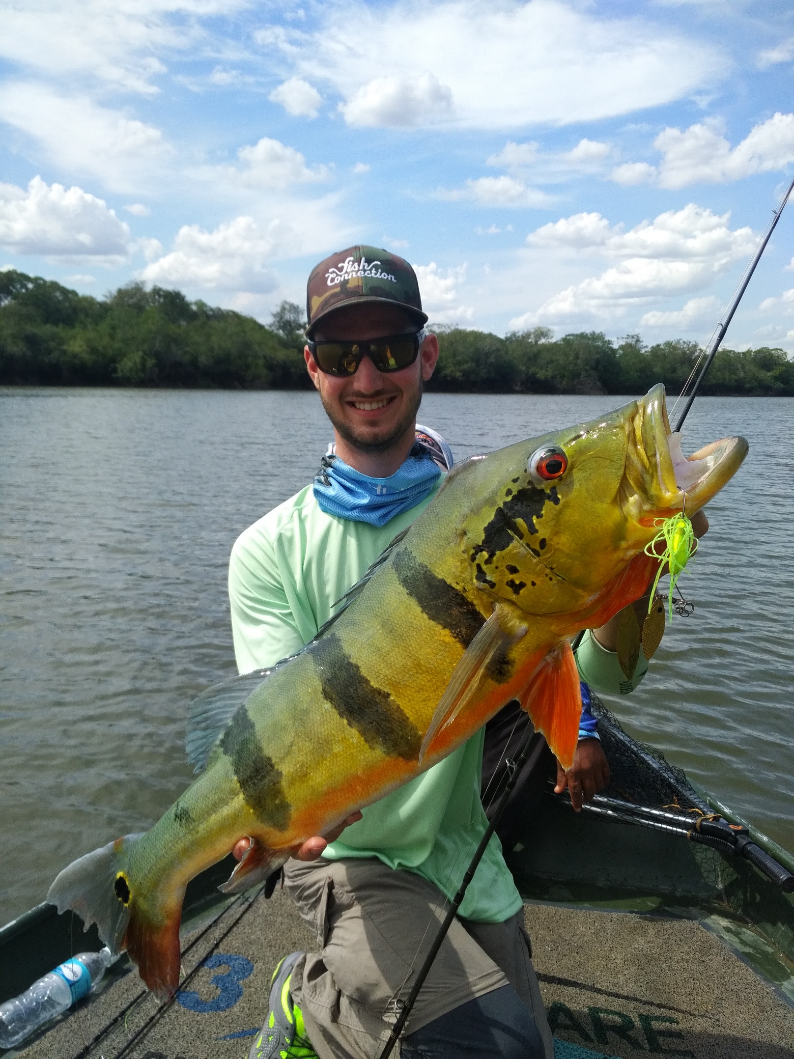 Peacock bass : Tout savoir sur la pêche de ce poisson d'une vie