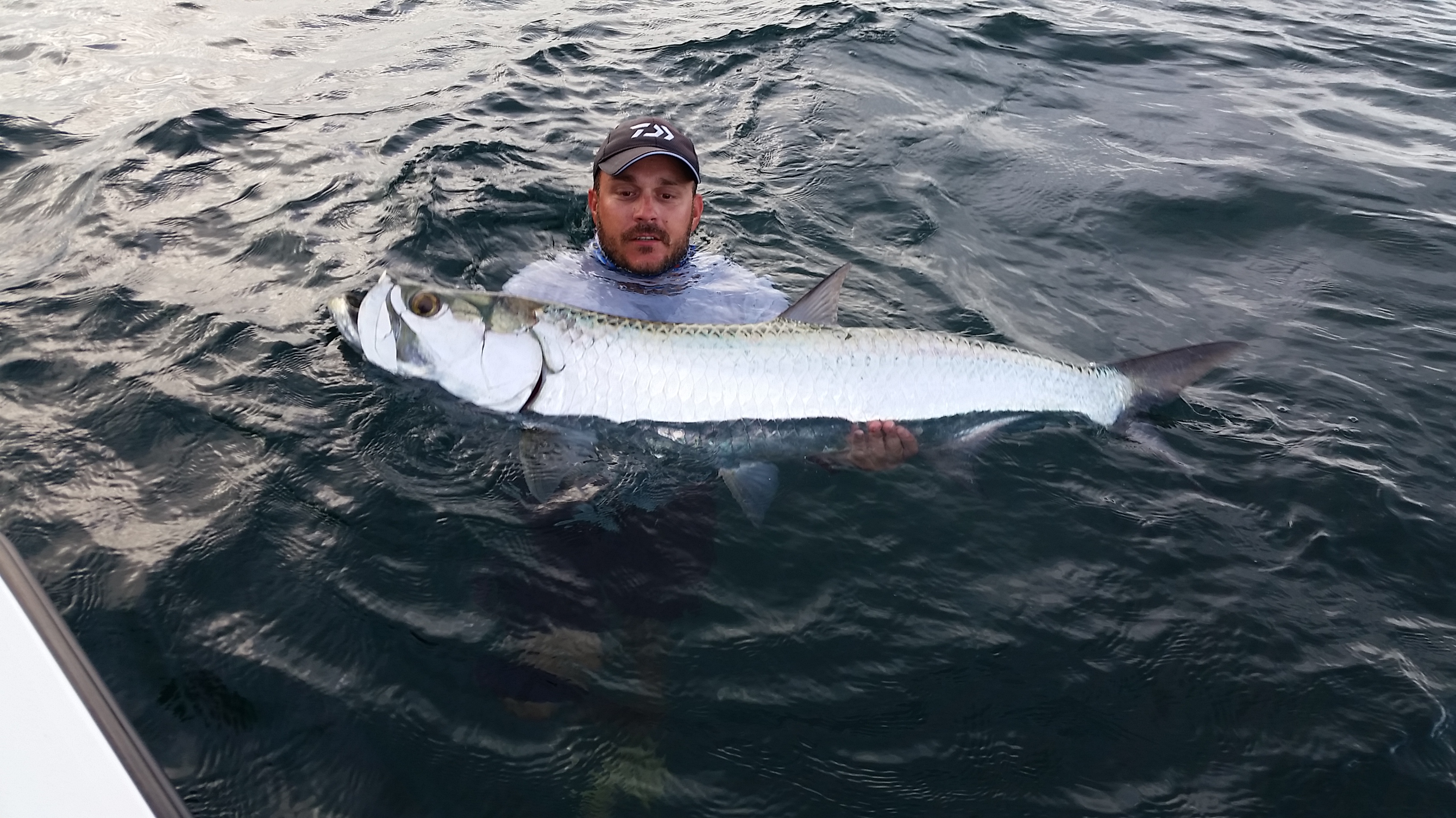 Sábalo: el rey plateado