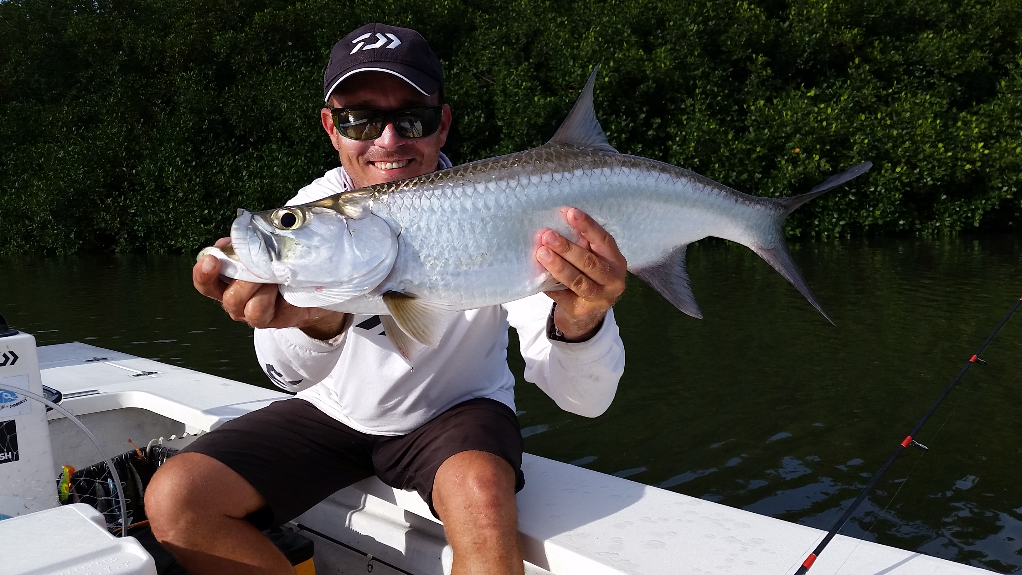 Sábalo: el rey plateado