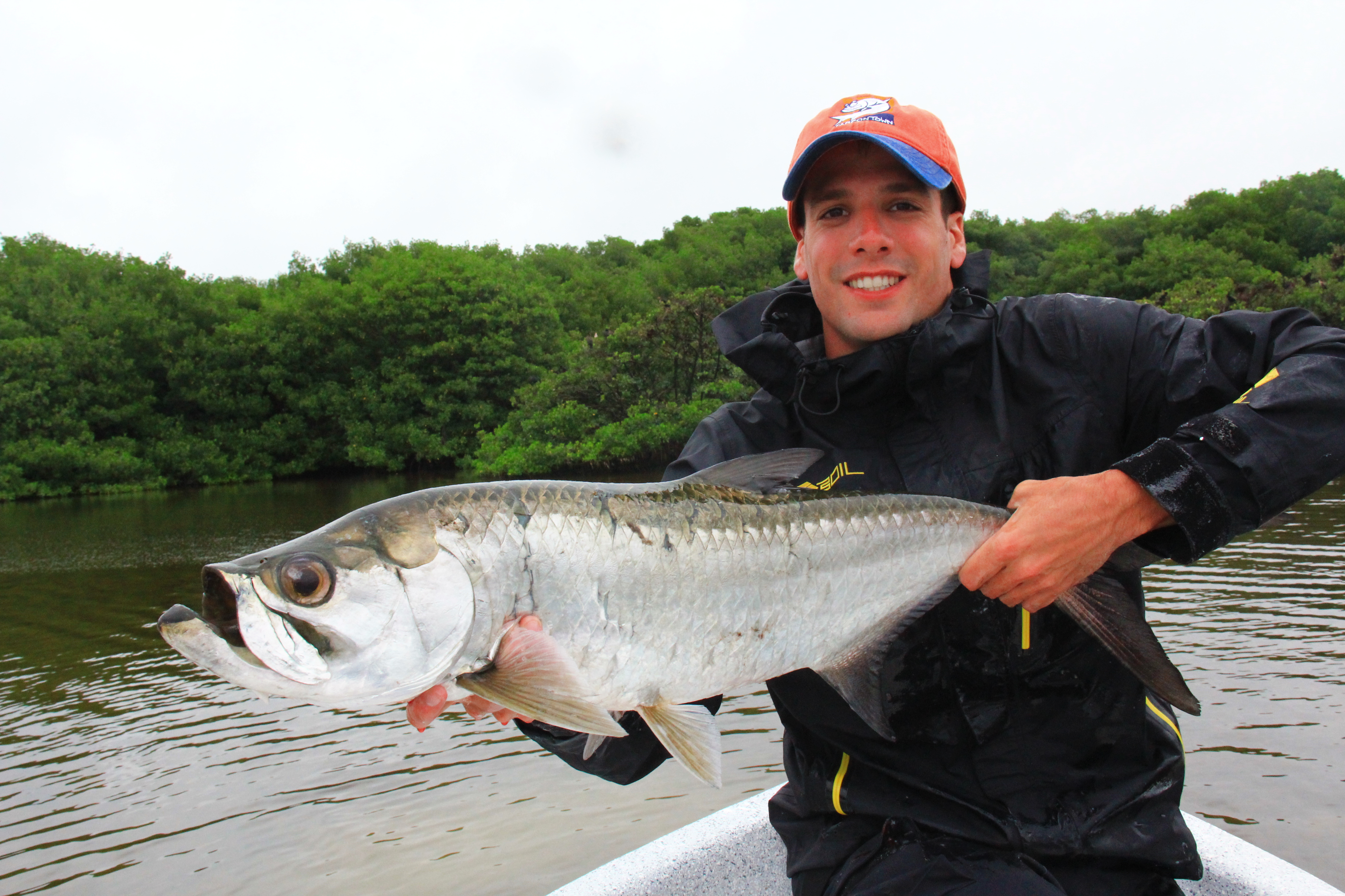 Sábalo: el rey plateado