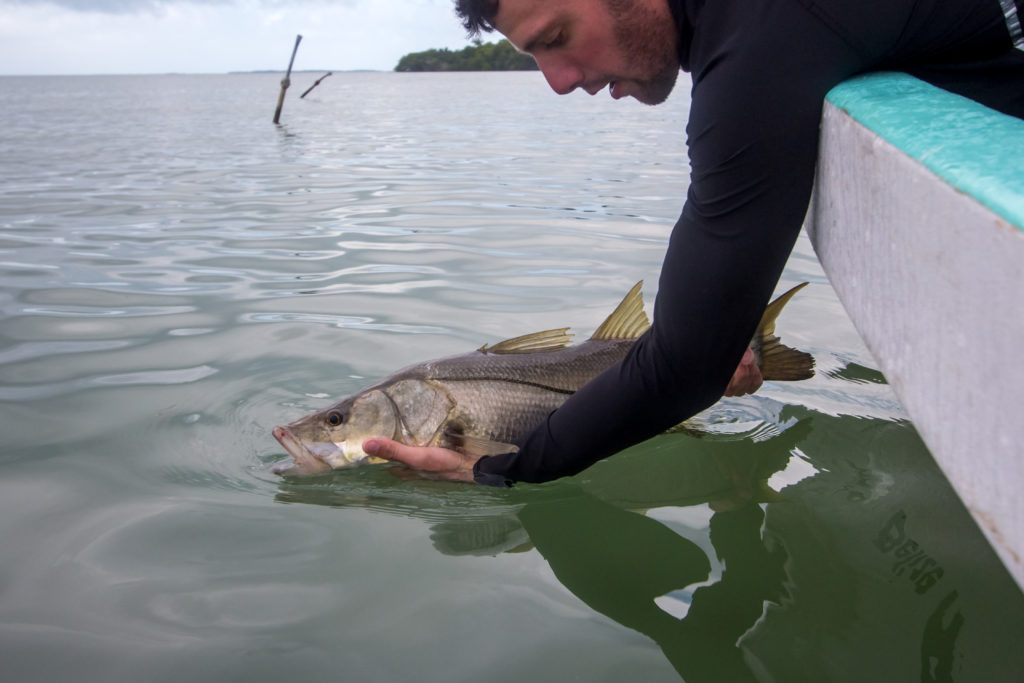 How to fish for snook?