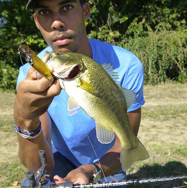 Topwaters: A fun way to lure fishing