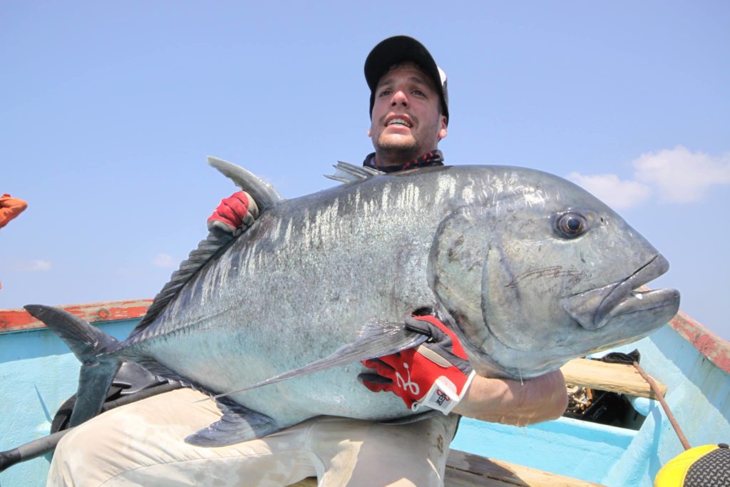 Carangue à grosse tête ou Caranx Ignobilis