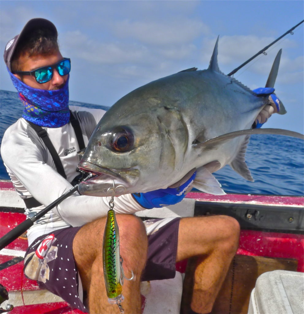 Carangue aux gros yeux ou Caranx Sexfasciatus