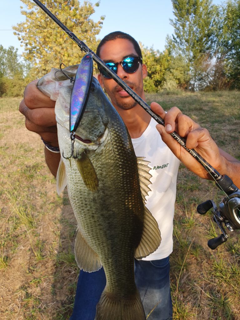 2. Stickbait: The typical surface black bass lure