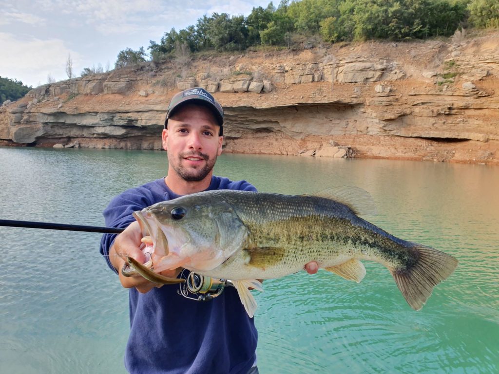 Los 10 mejores tipos de señuelos para el black bass