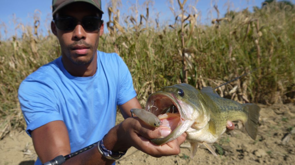 2. Stickbait: The typical surface black bass lure