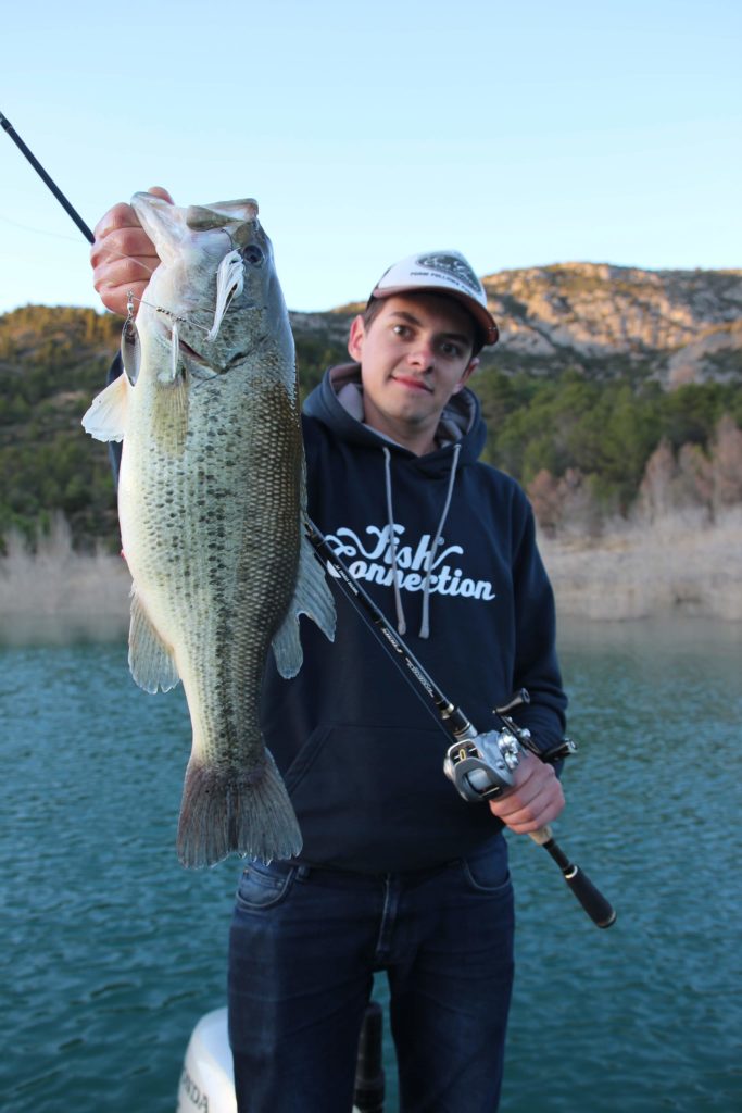 6. The spinnerbait: The all-terrain black-bass lure 