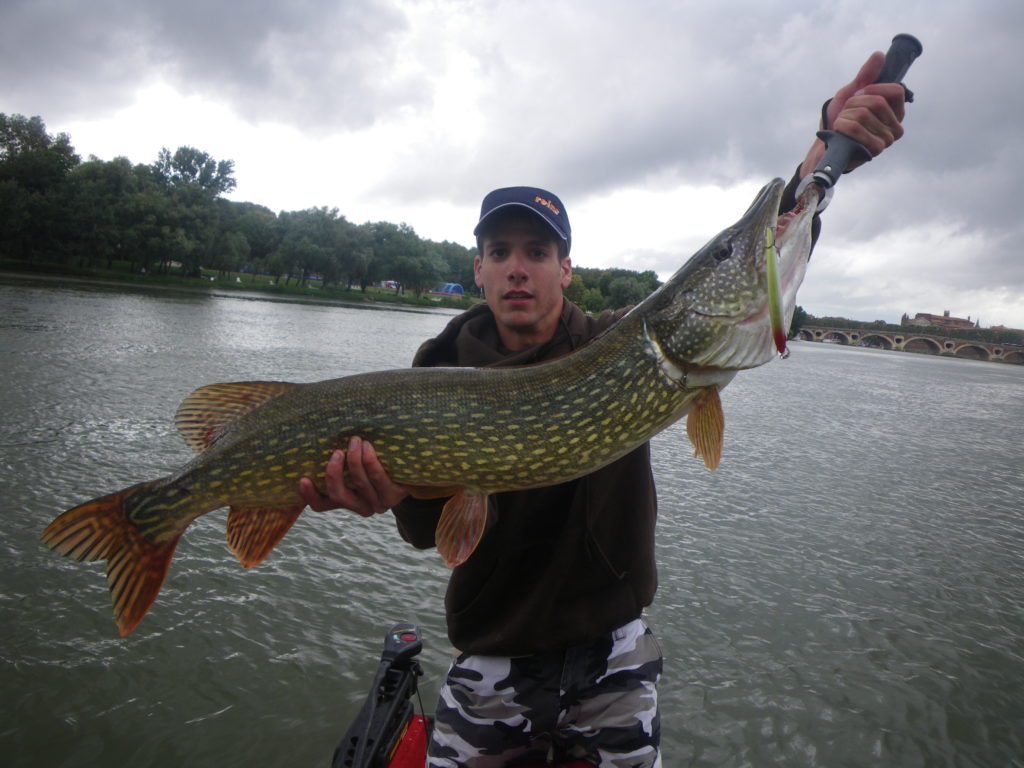 Pike lure: OSP rudra