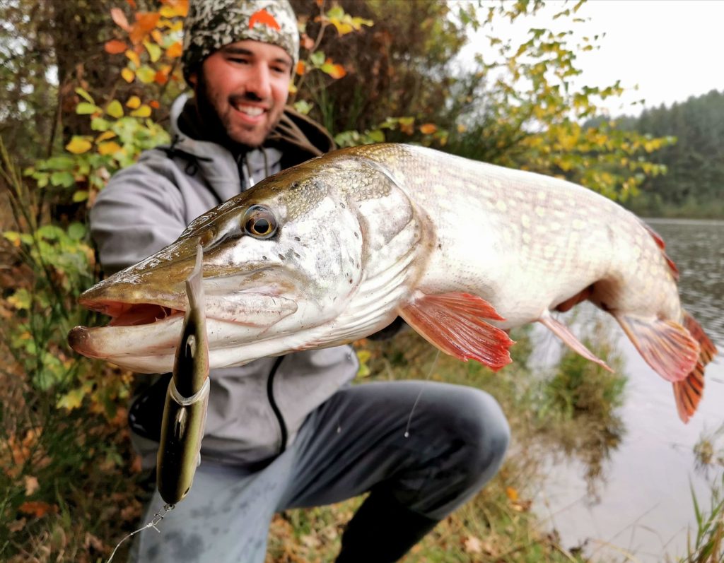 10 pike lures to have in your tackle box