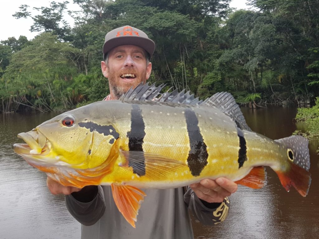 Tanguy Marlin peacock-bass