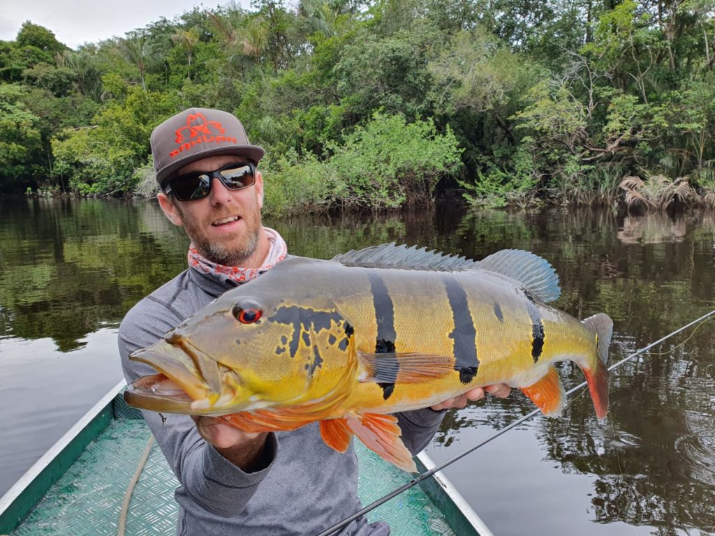 Tanguy Marlin peacock bass