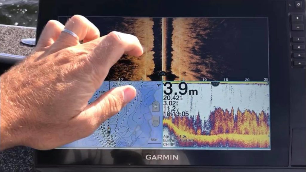 Seagrass beds seen on an echo sounder