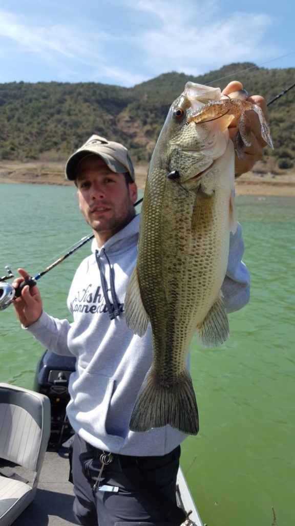 The texas rig or texan rig: A technique for fishing deep seagrass beds