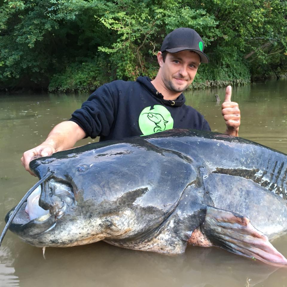 Top 2: French record catfish of 274 cm taken by Jean-Christophe Conéjéro on the Tarn