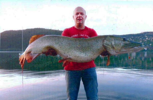 Top 7: 135 cm pike caught by Joël Mougel on the GERARDMER lake