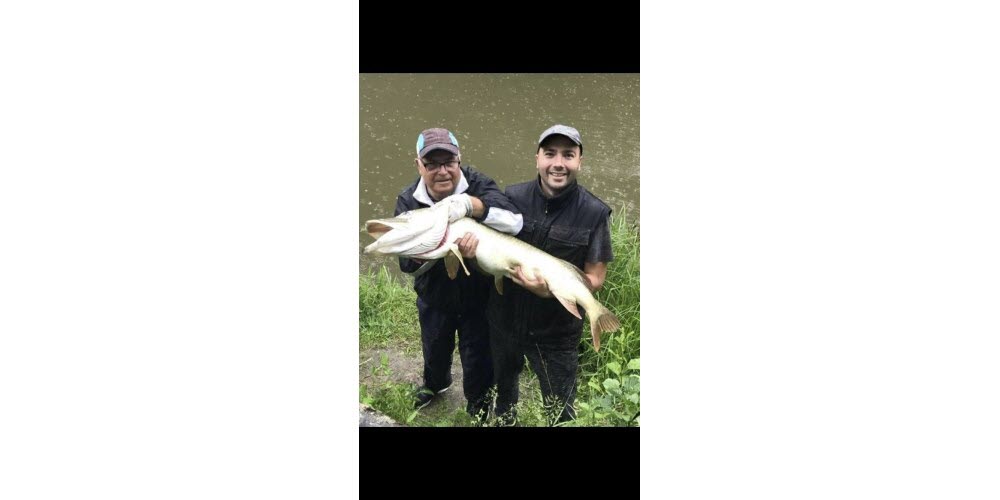 Top 5: Record pike of 136 cm caught by Adem Sinanagic on the Belfort canal