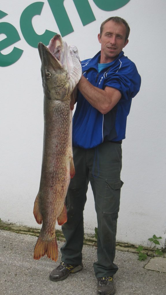 Top 1 :140 cm taken by Lionel Roux on Lake Nantua