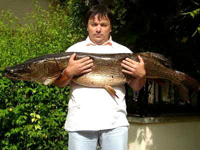 Top 8: 135 cm pike caught on the Crescent reservoir