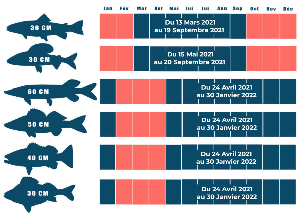 Ouverture De La Peche 2021 Toutes Les Dates Par Espece