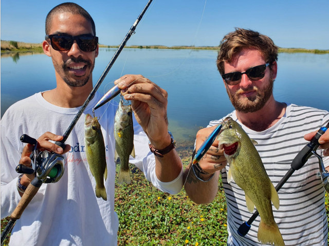 When to fish for black bass in summer?