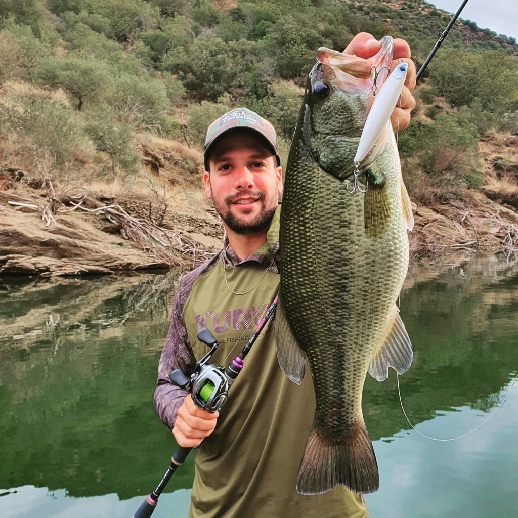 Topwater: the perfect summer black bass lure